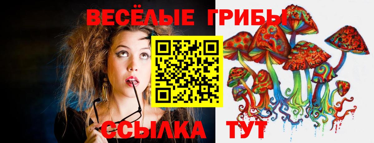 Псилоцибиновые грибы мицелий Урай
